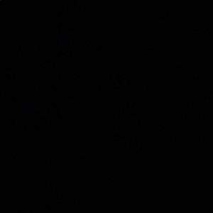 Meet your Posher, Ronaldo